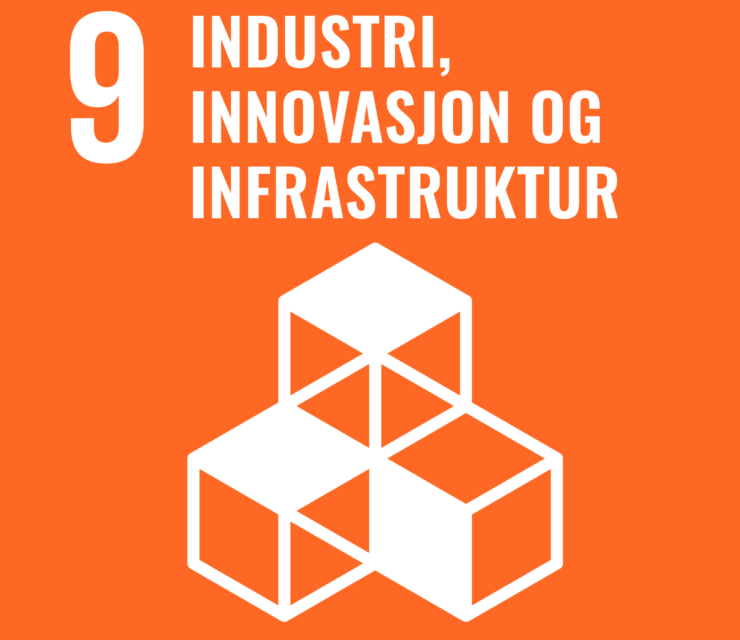 Mål 9: Industri, innovasjon og infrastruktur