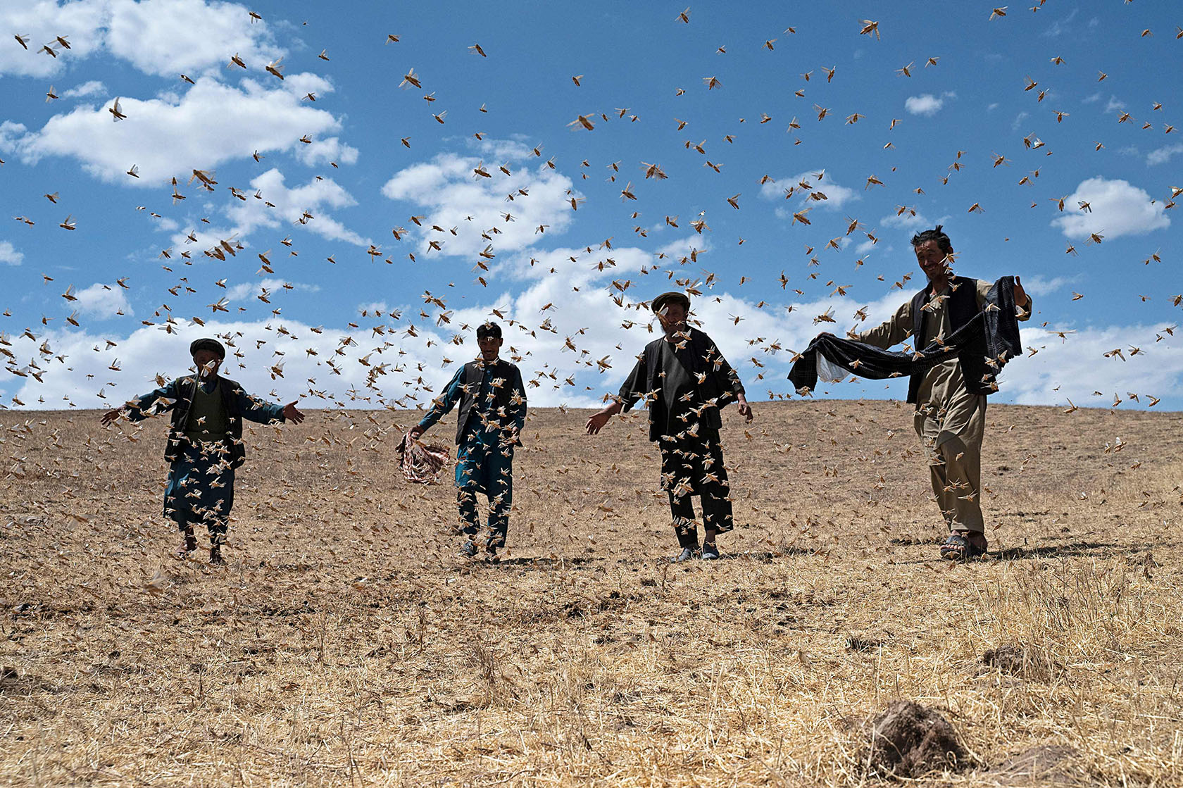 Bøndene i Afghanistan trodde årets avling skulle bli bedre. Men med klimaendringene har den 8. landeplagen vendt tilbake.