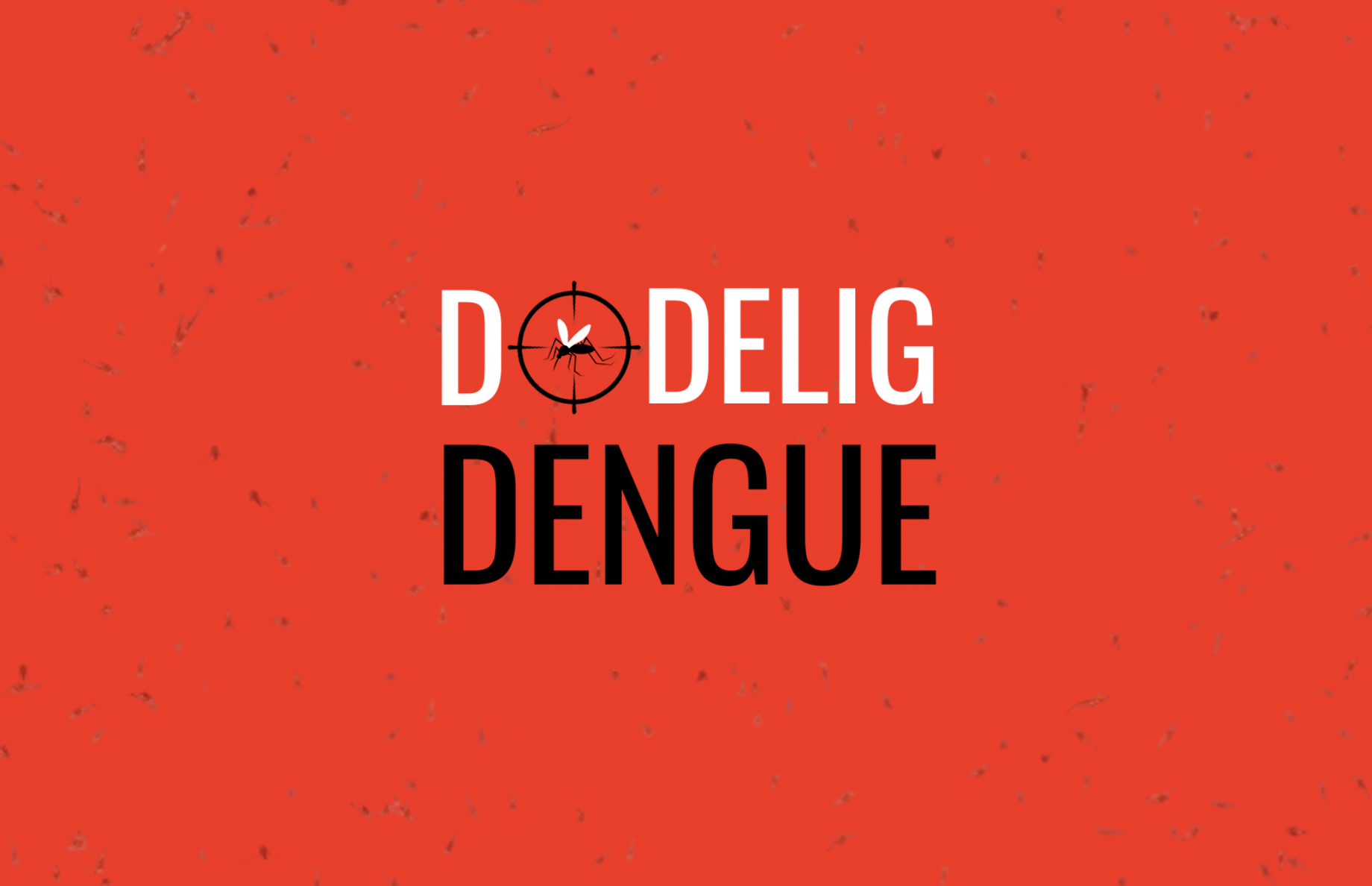 Dødelig dengue Et varmere klima med mer nedbør fører til at stadig flere blir smittet og dør av denguefeber.